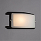 Светильник Arte Lamp A6462AP-1CK
