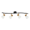 Спот Arte Lamp A3117PL-4BK