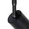 Arte Lamp A1345PL-1BK