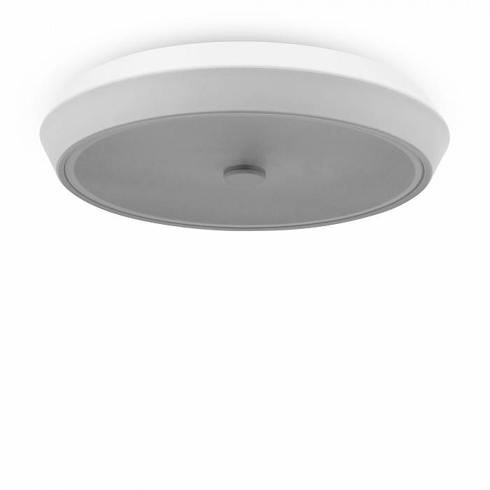 Светильник Freya FR10012CL-L24W