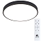 Светильник Arte Lamp A2672PL-1BK