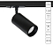 Arte Lamp A1346PL-1BK