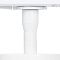 Arte Lamp A1346PL-1WH